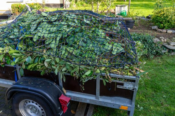 Same-Day Junk Removal Services